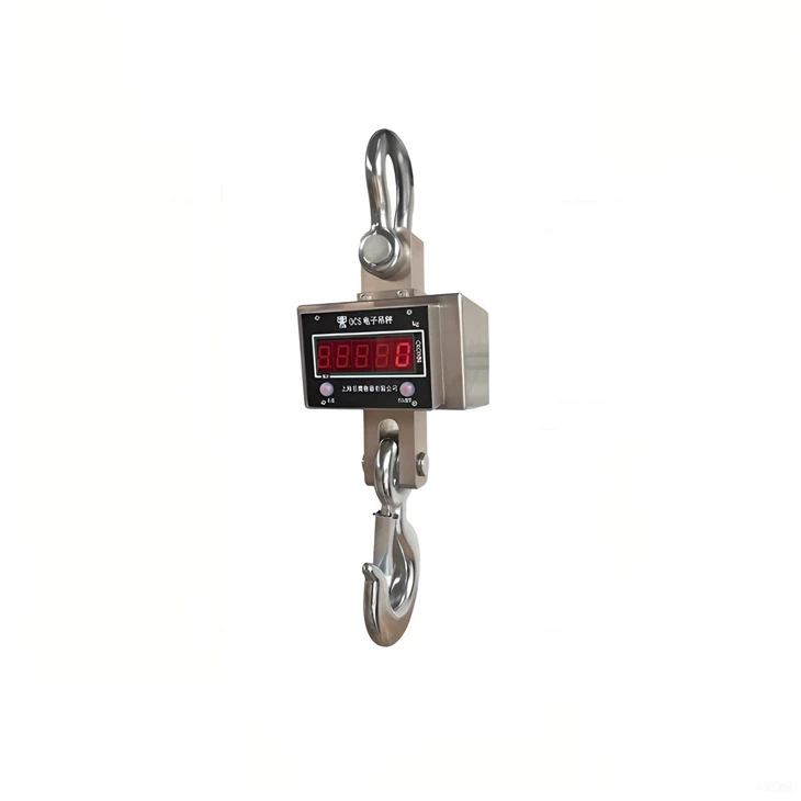 SS-304 Crane Scale With Wireless Meter TCS-05